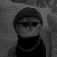 Q8_CR (@q8_crr) 's Twitter Profile Photo