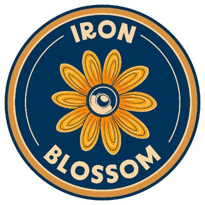 Iron Blossom Band performing live at music festival 2022