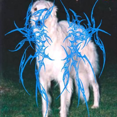 🫁