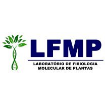 Plant Molecular Biology, Bioinformatics, Plant Physiology, Biochemistry, Genomics. @uflabr