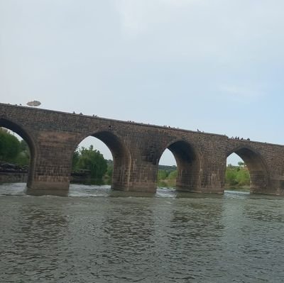 sherrif_21's profile picture. Kişisel Bilgiler