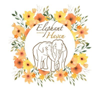 Elephant Haven - First Retirement Home in #France for #Elephants.