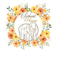 Elephant Haven(@elephanthaven) 's Twitter Profile Photo