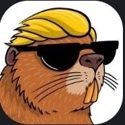 WS Redditor (@wsb_redditor) 's Twitter Profile