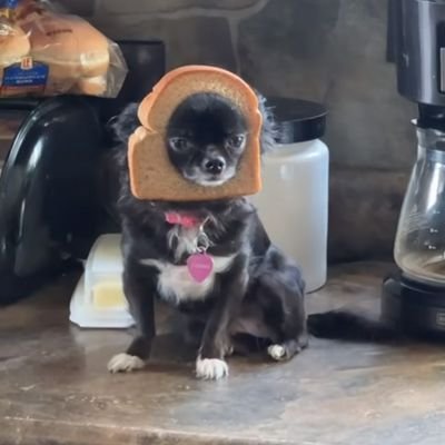 rute51908344408's profile picture. 