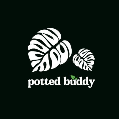 🌵House Plant Blog | ✨Indoor Plant Caring Tips | 🛠DIY Projects | ⚙Tools and Supplies

#pottedbuddy #houseplant #indoorplant #indoorgardening