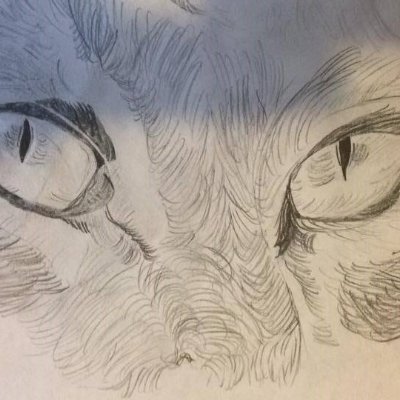 UNIV2222's profile picture. 