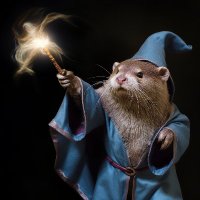 R10 (@rioshouts) 's Twitter Profile