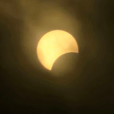 flashh2206's profile picture. 