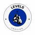 Levels2boxing (@levels2boxing) Twitter profile photo