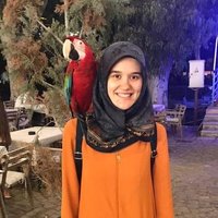 Esra Nur Uzel(@EsraNurUzel) 's Twitter Profile Photo