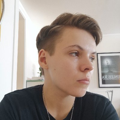 he/him - eng.lit grad student - unsuccessful plant dad - 🏳️⚧️ - 26. @completeviktory@bsky.social