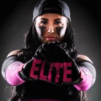 ✮ 𝗡 𝗢 𝗩 𝗔 ✮(@NOVAwrestler) 's Twitter Profile Photo