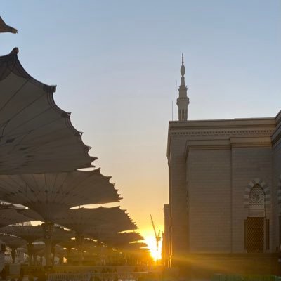 trzwna's profile picture. 🤍