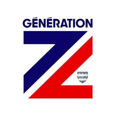 🇫🇷 Section Seine-et-Marne 🏛 Mouvement de jeunesse soutenant Eric Zemmour @GenerationZ_off