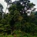bwindi Points Guide (@arihaihin) Twitter profile photo bwindi Points Guide (@arihaihin) Twitter profile photo