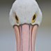 Suds (@trulypsynsable) Twitter profile photo Suds (@trulypsynsable) Twitter profile photo