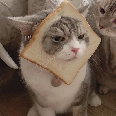 emnknnnn's profile picture. Дождь льет пеленою и скрывает от меня мир. И пусть скроет его от меня. Он не нужен мне, как и я никому не нужен в мире.