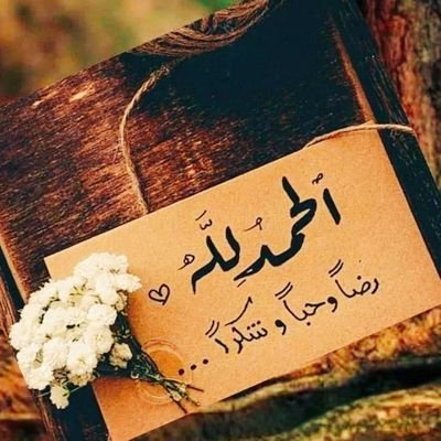 bndar_abo465's profile picture. _اعشق نادي النصر 💛💙 والسفر والشعر والبر.. والبحر🙏