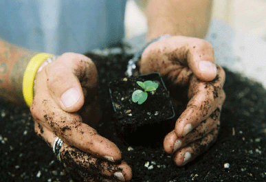 MPYEinc's profile picture. 