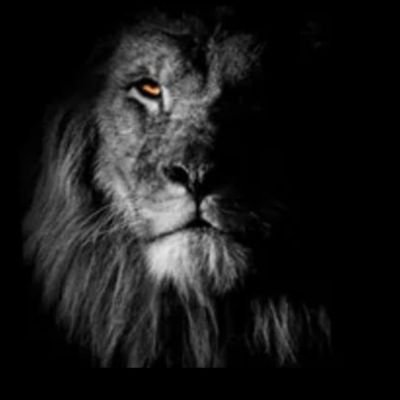 donado_emi47350's profile picture. 