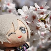 ぼん (@von_aaa13) 's Twitter Profile