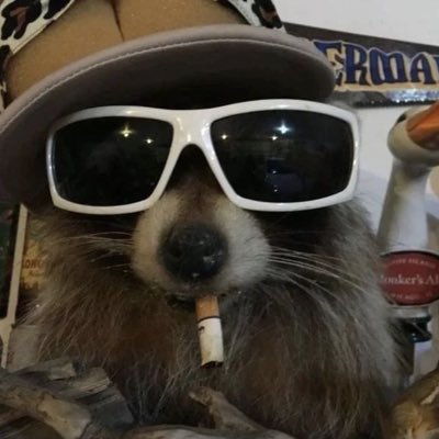 ClownsDead's profile picture. Avid Fortnite player and thinker- In that GTR when Im slidin 🛸