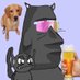 ฅↀᴥↀ (@0xhero666) Twitter profile photo ฅↀᴥↀ (@0xhero666) Twitter profile photo