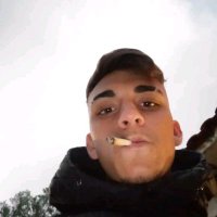 João Mendonça (@mendonca772) 's Twitter Profile