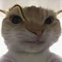 Axel (@bigdaxel911) 's Twitter Profile
