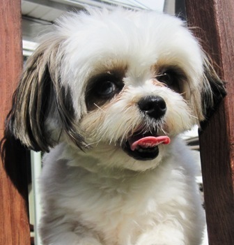 jcalazan's profile picture. Python/Django Developer. Co-Founder at https://t.co/9hWXZihtCb