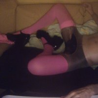 Tunte Perv (@tunteperv) 's Twitter Profile
