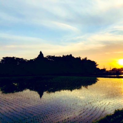 YukiPowerapp's profile picture. 外資系化学メーカーで、QCのエンジニアをしています。最近パワープラットフォームに興味があります。