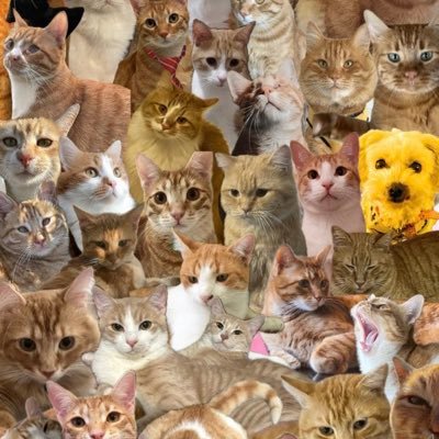 777askim777's profile picture. 