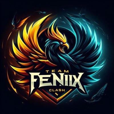 Team FÉNIX CLASH