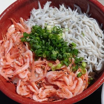 おーーいさんのプロフィール画像