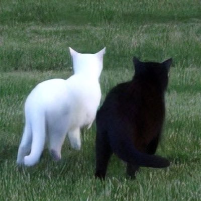 guu__52's profile picture. 交換 RT 同行