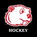 Minot State Women’s Hockey (@MSUBeaversWHKY) Twitter profile photo