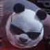 Panda de óculos (@PandaFighther) Twitter profile photo