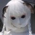 Silkybug (@kuromoth) Twitter profile photo Silkybug (@kuromoth) Twitter profile photo