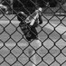 Konner (@konner012) Twitter profile photo Konner (@konner012) Twitter profile photo