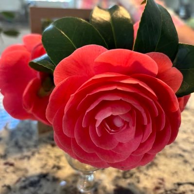 HPageMcAdams's profile picture. Academic CardioThoracic Radiologist. Opinions my own. RT does not equal endorsement