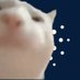 vibe cat (@vibecat_ada) Twitter profile photo vibe cat (@vibecat_ada) Twitter profile photo