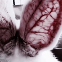 cain ꒰ ⛪️ ꒱ (@godcest2) 's Twitter Profile