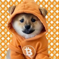 $DOG Army - #BTC Runestone (@dogarmybtc) 's Twitter Profile Photo $DOG Army - #BTC Runestone (@dogarmybtc) 's Twitter Profile Photo