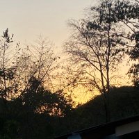 Lulú (@lixchieee) 's Twitter Profile