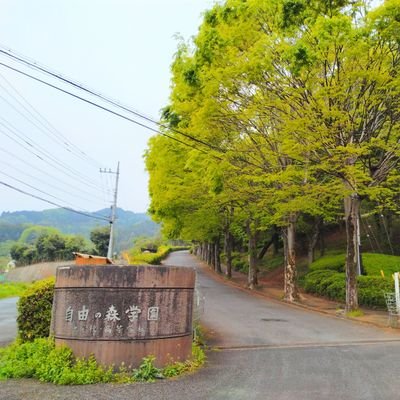 自由の森学園（埼玉県飯能市）に生息する昆虫図鑑をつくりたい在校生です。生物同好会所属。