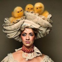 Chicken Lady Storytime(@1woman1cat) 's Twitter Profile Photo