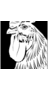 MayflyRecords's profile image