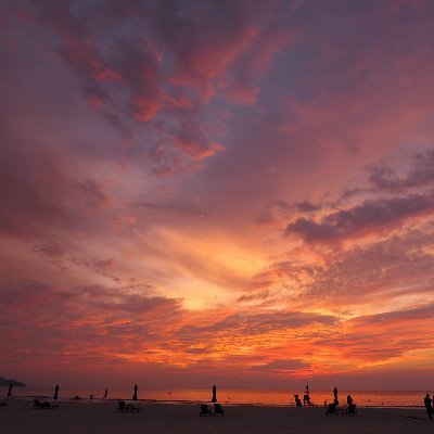 jumbopigpigpig's profile picture. 